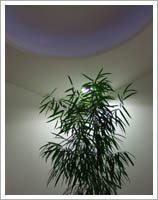 Rechtsanwaltskanzlei Dr. Kohler, Pforzheim